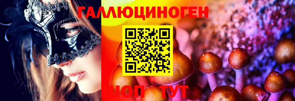 Волгодонск  Псилоцибиновые грибы MAGIC MUSHROOMS  Вход с VPN 